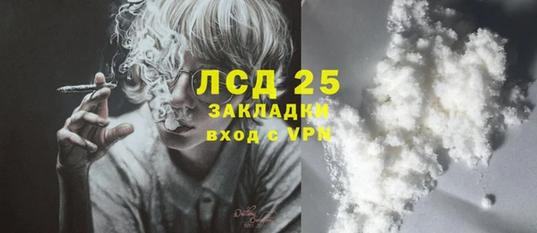 эйфоретик Бородино