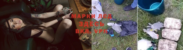 эйфоретик Бородино
