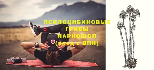 твердый Бронницы