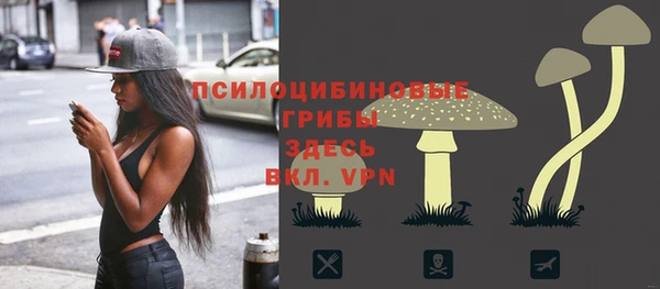 молекула духа Бугульма