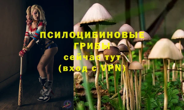 молекула духа Бугульма