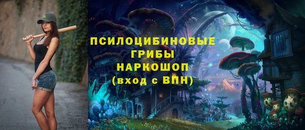 эйфоретик Бородино