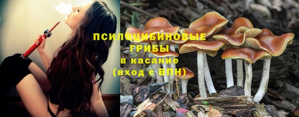 эйфоретик Бородино