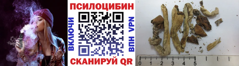 купить наркотики цена  Ковдор  Псилоцибиновые грибы ЛСД 