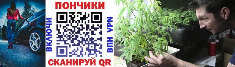 OMG tor  darknet Telegram  Бошки марихуана OG Kush  Ковдор 